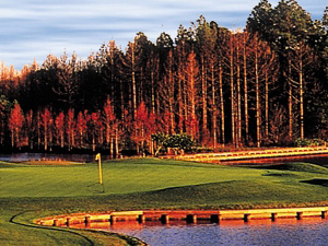 Orlando golf outings